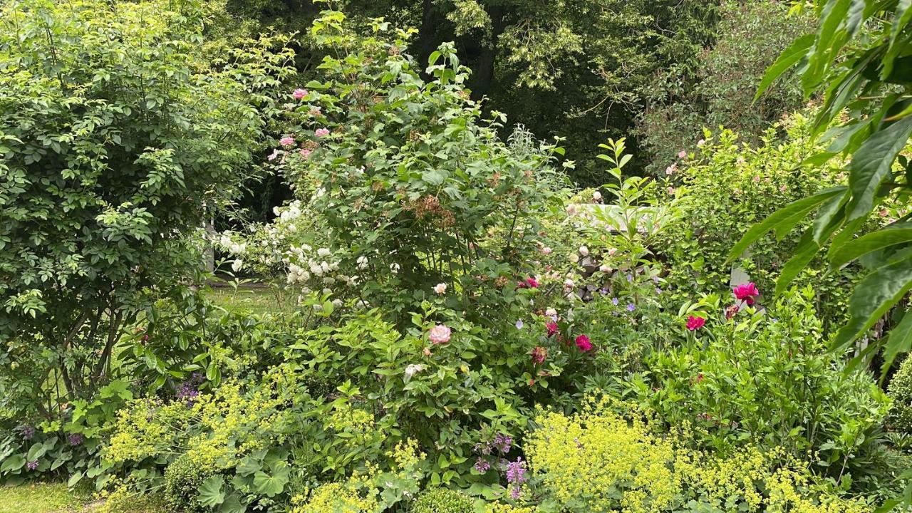 Kleine Ferienwohnungen - Stortebeker Ralswiek Esterno foto